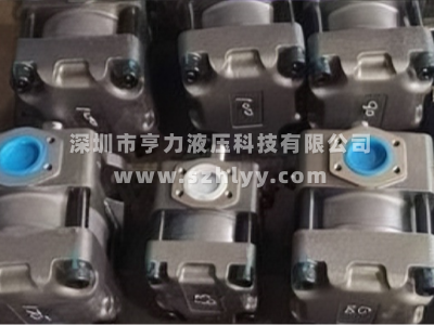 日本SUMITOMO住友QT系列内啮合齿轮泵的应用注意事项有哪些